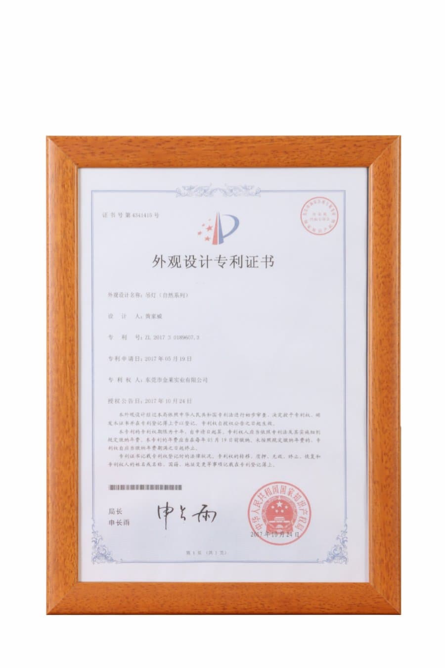 外观设计专利 — 吊灯自然系列